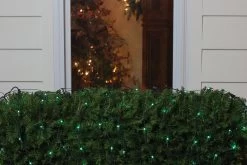 150-Count Green Mini Incandescent Net Style Christmas Lights - 6ft Green Wire -Christmas Decoration Store 0a1dkiffhedtdo8e5exekkm5mwzuwbqn 38206.1667489936