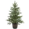 4' Potted Norwegian Spruce Entrance Artificial Christmas Tree – Unlit -Christmas Decoration Store dnat20peng4 700 40p 18880.1667574614