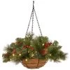 16" Pre-Lit Green Crestwood Spruce Hanging Christmas Decor With White LED Lights
