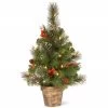 2' Pre-lit Potted Vibrantly Colored Crestwood Spruce Artificial Christmas Tree – Clear Lights -Christmas Decoration Store dnat cw7 306 20 46758.1667536007