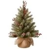 2' Pre-Lit Dunhill Fir Artificial Christmas Tree - Warm White LED Lights -Christmas Decoration Store dnat duf 300 20 b1 14694.1667574368