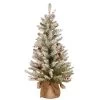 3' Pre-Lit Dunhill Fir Artificial Christmas Tree - Warm White LED Lights -Christmas Decoration Store dnat duf 300 30 b1 77838.1667531766