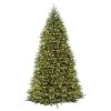 10’ Pre-Lit Dunhill Fir Artificial Christmas Tree - Clear Lights