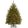 4’ Pre-Lit Dunhill Fir Artificial Christmas Tree - Clear Lights 1 4’ Pre-Lit Dunhill Fir Artificial Christmas Tree - Clear Lights -Christmas Decoration Store dnat duh 40lo 1 43792.1667576075