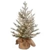 2.5' Pre-Lit Medium Snowy Cambridge Artificial Christmas Tree - Warm White LED Lights