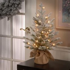 2.5' Pre-Lit Medium Snowy Cambridge Artificial Christmas Tree - Warm White LED Lights -Christmas Decoration Store dnat pecaf1 306 25b1 3 38749.1667575689