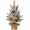 2' Pre-lit Potted Snowy Sheffield Spruce Battery Operated Artificial Christmas Tree, Warm White LED Lights -Christmas Decoration Store dnat pesl3 310 20 b1 05587.1667529469