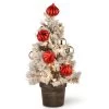 2' Pre-Lit Potted Snowy Bristle Pine Medium Artificial Tabletop Christmas Tree - Warm White LED Lights 2 2' Pre-Lit Potted Snowy Bristle Pine Medium Artificial Tabletop Christmas Tree - Warm White LED Lights -Christmas Decoration Store dnat snp7 308 20 b 95977.1667564813