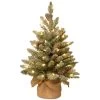 2' Pre-lit Potted Battery Operated Snowy Concolor Fir Artificial Christmas Tree - Warm White LED Lights -Christmas Decoration Store dnat sr1 328 20 b1 1 52176.1667564817