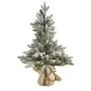 2' Potted Flocked Artificial Christmas Tree With Pinecones, Unlit