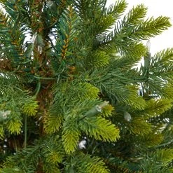 3.5’ Pre-Lit Potted North Carolina Fir Artificial Christmas Tree, Clear Lights -Christmas Decoration Store dnnl20t2325 5 83504.1680571146