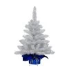 2' Pre-Lit Table Top Artificial Christmas Tree With In Blue Sac, Warm White Lights