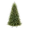 7.5' Pre-Lit Galveston Fir Artificial Christmas Tree, Clear Lights -Christmas Decoration Store dpul gv 75c8 1 34774.1688471937