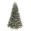6.5' Pre-lit Flocked Halifax Fir Artificial Christmas Tree, Clear Lights