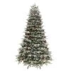 7.5' Pre-Lit Flocked Halifax Fir Artificial Christmas Tree, Clear Lights -Christmas Decoration Store dpul hx 75c7 1 60191.1667544687