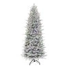7.5' Pre-lit Flocked Northern Fir Medium Artificial Christmas Tree, Color Select LED Lights -Christmas Decoration Store dpul nnfsl 75f5ld4 1 23224.1688428876