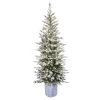 6' Pre-Lit Potted Flocked Arctic Fir Christmas Tree With Warm White LED Lights