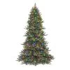 7.5' Pre-lit Royal Majestic Douglas Fir Downswept Artificial Christmas Tree, Color Select LED Lights -Christmas Decoration Store dpul rmdd 75qld7 1 26632.1688168068