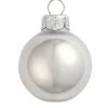 12ct Mercury Silver Pearl Finish Glass Christmas Ball Ornaments 2.75" (70mm) -Christmas Decoration Store dwhi2028143 1 86560.1667684627