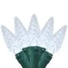 35 Battery Operated White Faceted LED C6 Christmas Lights - 11 Ft Green Wire