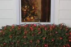 4' X 6' Red Mini Incandescent Net Style Christmas Lights, Green Wire -Christmas Decoration Store ffhk8l3g9ielsltairtpp0imhyken4be 12367.1676570741