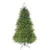 9' Pre-Lit Green Medium Northern Pine Artificial Christmas Tree - Multicolor LED Lights