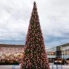 26.5' Giant Pre-Lit Everest FirCommercial Tower Christmas Tree - Multicolor C7 LED Lights -Christmas Decoration Store iqn9ab7pa5kqgalafcmepgpeoqjcooqe 99045.1680153259