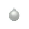 40ct Silver Matte Finish Glass Hanging Christmas Ball Ornaments 1.25" (30mm) -Christmas Decoration Store lflzu4ukamncwdasagffjlrnaa30abqp 41365.1667684776