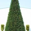 12' Pre-Lit Green Slim Pine Artificial Christmas Tree - Clear Lights