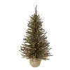2.5' Pre-Lit Warsaw Two-Tone Twig Artificial Christmas Tree - Clear Lights -Christmas Decoration Store northlight b03911 37002.1667663638