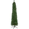 6' X 20" Pre-Lit Traditional Green Pine Pencil Artificial Christmas Tree - Clear Lights