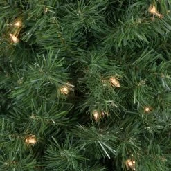 6' X 20" Pre-Lit Traditional Green Pine Pencil Artificial Christmas Tree - Clear Lights -Christmas Decoration Store northlight b83517 2 80134.1673969966