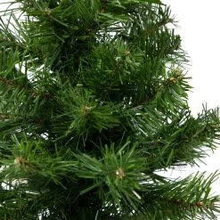 18" Medium Blackwater Fir Artificial Christmas Tree - Unlit 9 18" Medium Blackwater Fir Artificial Christmas Tree - Unlit -Christmas Decoration Store northlight b83529 1 98723.1667530758