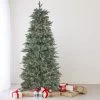 12' Pre-Lit Slim Washington Frasier Fir Artificial Christmas Tree - Clear Lights -Christmas Decoration Store northlight b84774 16783.1667663156