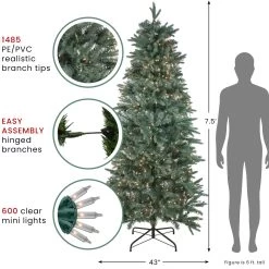 7.5' Pre-Lit Washington Frasier Fir Slim Artificial Christmas Tree - Clear Lights -Christmas Decoration Store northlight b84774 updated august 10819.1667659786