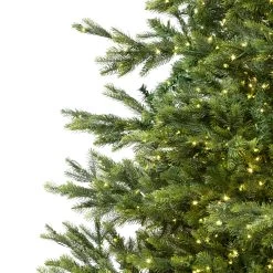 7.5' Pre-Lit Full Oregon Noble Fir Artificial Christmas Tree - Warm White LED Lights -Christmas Decoration Store northlight gb516800438 3 updated 62609.1667488150
