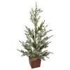 28" Potted Frosted Pine Artificial Christmas Tree – Unlit