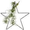 11" LED Lighted Star With Rosemary Sprig Christmas Decoration, Warm White Lights -Christmas Decoration Store northlight hc94500 1 77748.1667538108