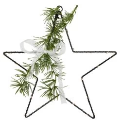 11" LED Lighted Star With Rosemary Sprig Christmas Decoration, Warm White Lights