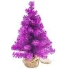 17.5" Boysenberry Purple Pine Tree In Natural Jute Base Christmas Decoration 2 17.5" Boysenberry Purple Pine Tree In Natural Jute Base Christmas Decoration -Christmas Decoration Store northlight hn92719 1 pre20list 59501.1667530236