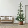 9' Pre-Lit Nordmann Fir Artificial Christmas Tree - Warm Clear LED Lights -Christmas Decoration Store northlight j00085 1 72526.1667536348