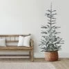 7.5' Slim Flocked Nordmann Fir Artificial Christmas Tree - Unlit -Christmas Decoration Store northlight j00090 60321.1667580514