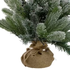 2' B/O Potted Frosted Pine Medium Artificial Christmas Tree In A Burlap Pot- Warm White Lights -Christmas Decoration Store northlight kji91318 1 33542.1667573246