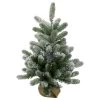 2' B/O Potted Frosted Pine Medium Artificial Christmas Tree In A Burlap Pot- Warm White Lights -Christmas Decoration Store northlight kji91318 74661.1667573245