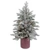 4' Pre-Lit Flocked Saratoga Spruce Artificial Christmas Tree In Pot - Clear Lights 1 4' Pre-Lit Flocked Saratoga Spruce Artificial Christmas Tree In Pot - Clear Lights -Christmas Decoration Store northlight lt91590 1 updated 08726.1667573176