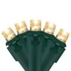 50 Warm White LED Wide Angle Christmas Lights - 16.25 Ft Green Wire -Christmas Decoration Store northlight nl02558 updated 19198.1667491130