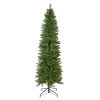 6.5' Pre-Lit Silver Lake Fir Pencil Artificial Christmas Tree, Multi Lights -Christmas Decoration Store northlight sm92988 1 63177.1667488676