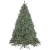 7.5' Pre-Lit Full Newport Spruce Artificial Christmas Tree, LED Lights -Christmas Decoration Store northlight sm92996updated 96337.1667535771