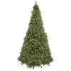 9.5' Pre-Lit Full Kingston Cashmere Pine Artificial Christmas Tree, Clear Lights -Christmas Decoration Store northlight sm93051 1 96194.1667553546