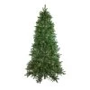 7.5' Pre-Lit Medium Neola Fraser Fir Artificial Christmas Tree - Dual Color LED Lights -Christmas Decoration Store northlight sp15020updated 92559.1667536307